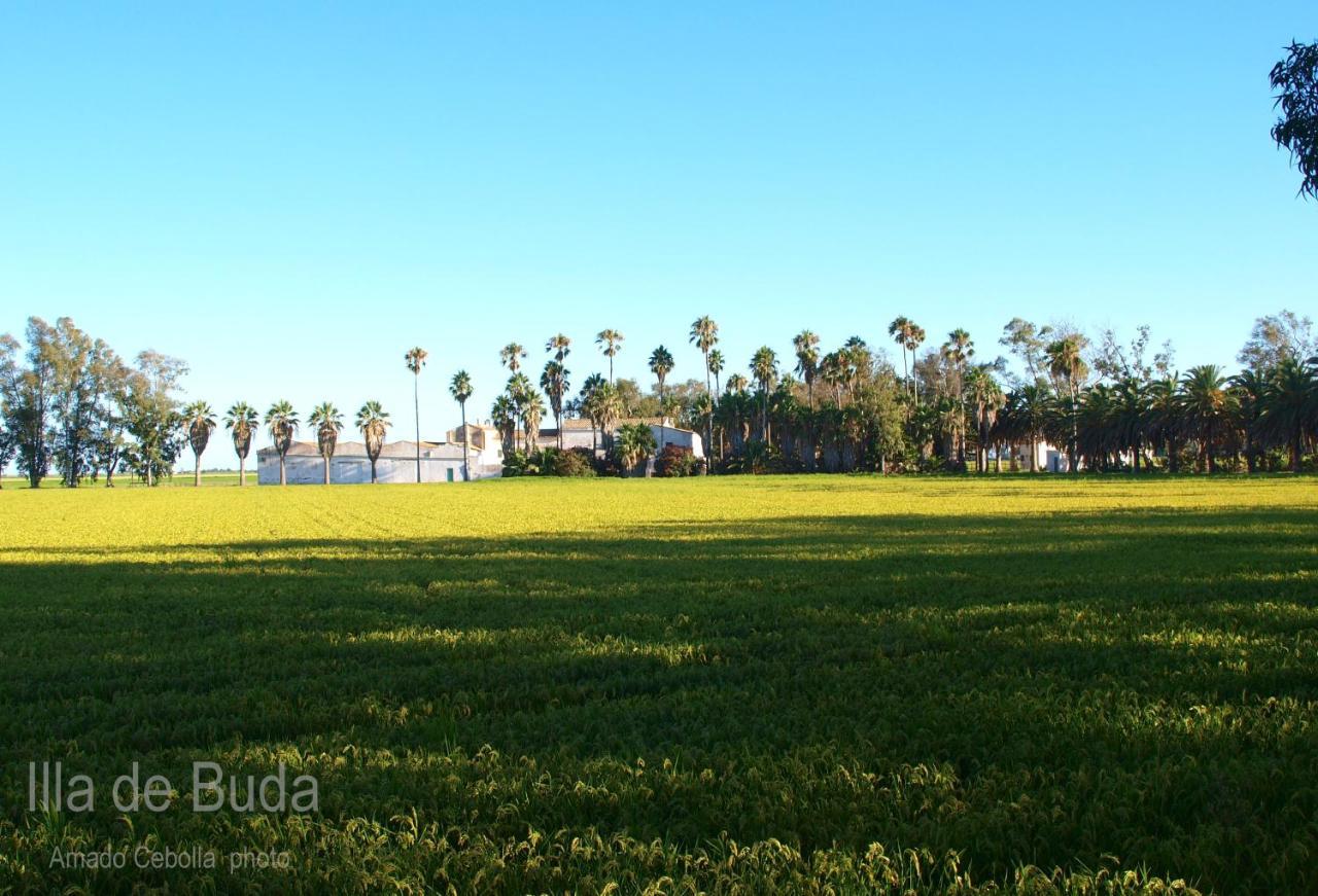 Villa Paquita - Delta De L'Ebre เดลแตเบรอ ภายนอก รูปภาพ