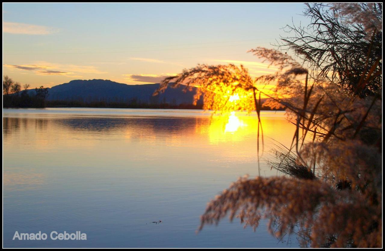 Villa Paquita - Delta De L'Ebre เดลแตเบรอ ภายนอก รูปภาพ