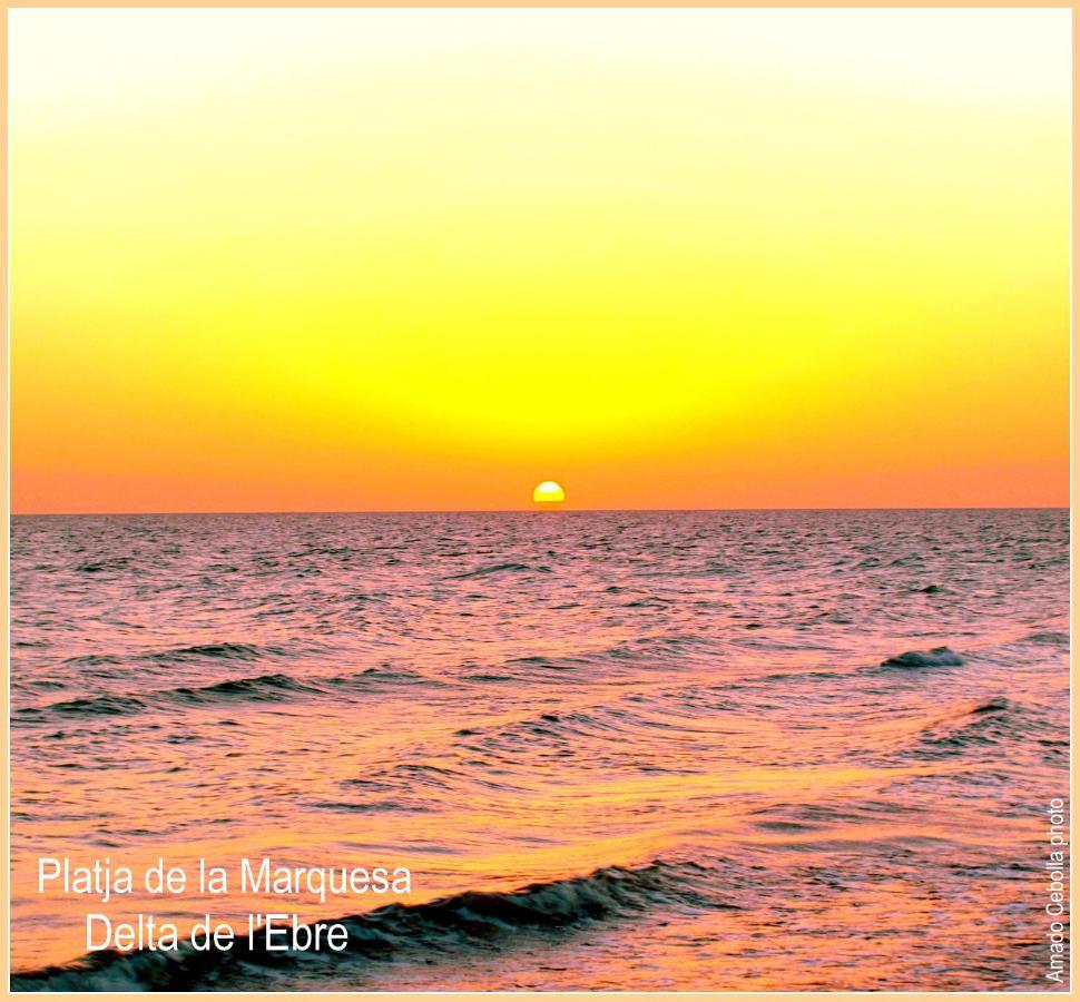 Villa Paquita - Delta De L'Ebre เดลแตเบรอ ภายนอก รูปภาพ
