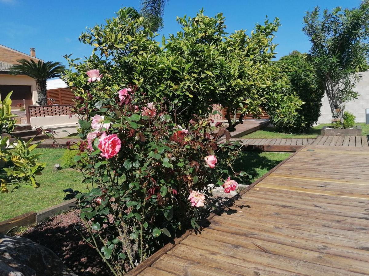 Villa Paquita - Delta De L'Ebre เดลแตเบรอ ภายนอก รูปภาพ